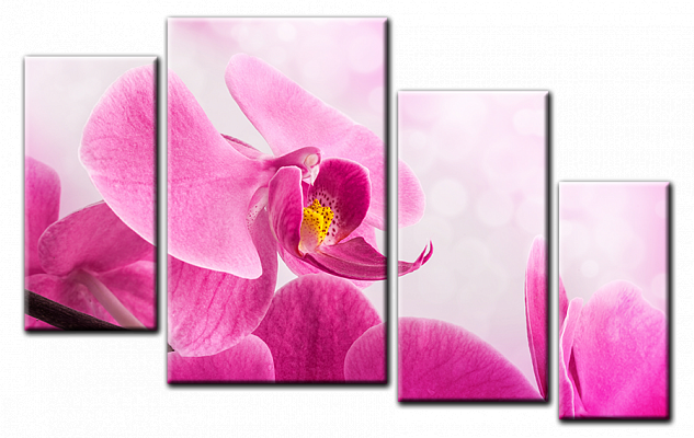 Картина Нежная орхидея - Из четырех частей 