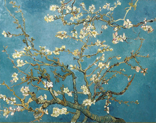 Картина Цветущие ветки миндаля - Ван Гог Винсент 