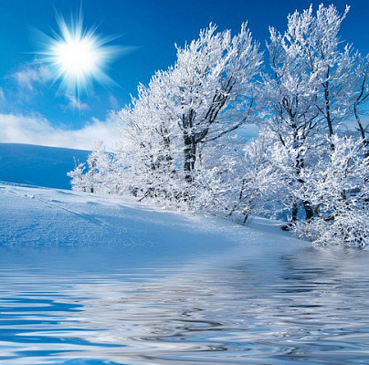 Картина Зимнее солнце - Природа 