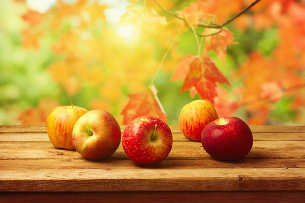 Картина Осенние фрукты - Еда-напитки 