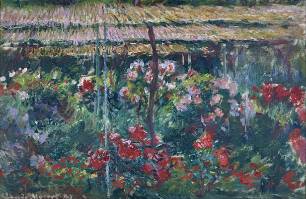 Картина Пионы в саду - Моне Клод 