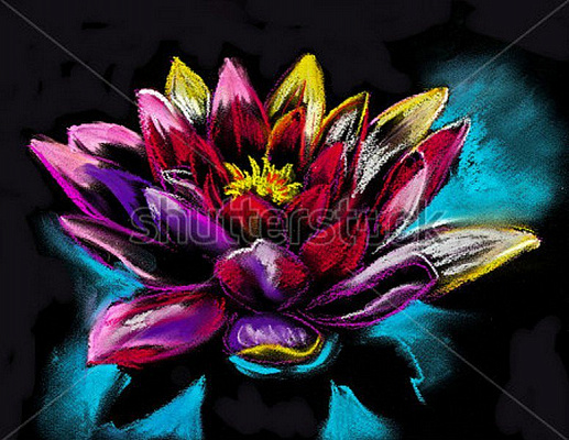 Картина Разноцветная лилия - Николов Ивайло  