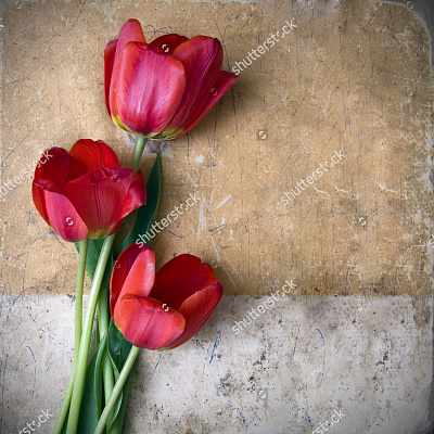 Картина Три красных тюльпана - Цветы 