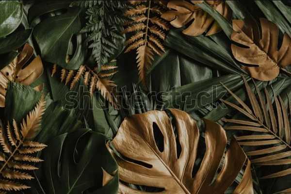 Картина Коллаж из листьев 2 - Природа 