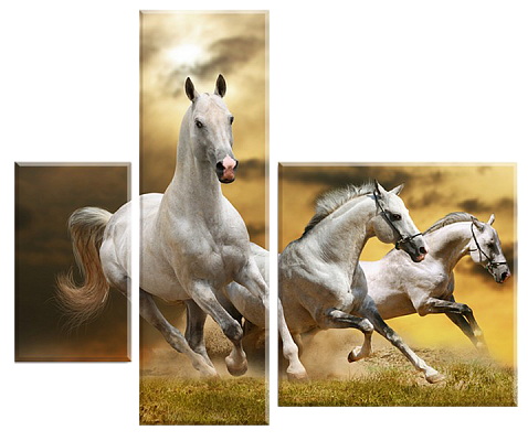 Картина Трійка білих коней - З трьох частин 