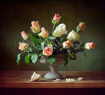 Картина Розы и ракушка - Цветы 