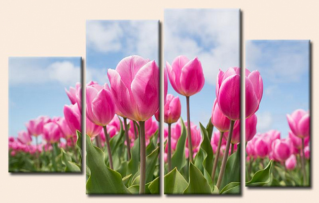 Картина Розовые тюльпаны - Из четырех частей 