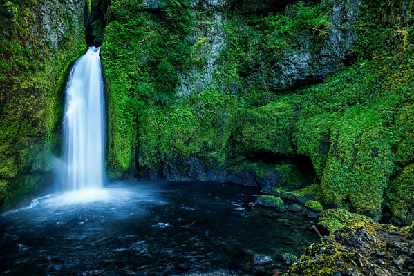 Картина Водопад в сочной зелени - Природа 