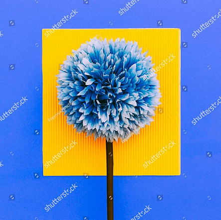 Синий цветок