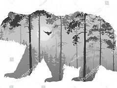 Медведь и деревья