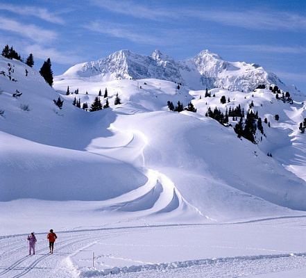 Картина Снігові пагорби - Природа 