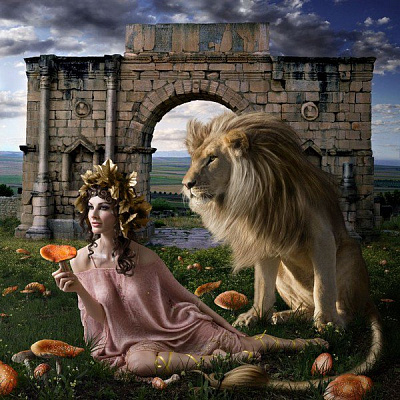 Картина Грибна цариця - Жіночі фентезі 