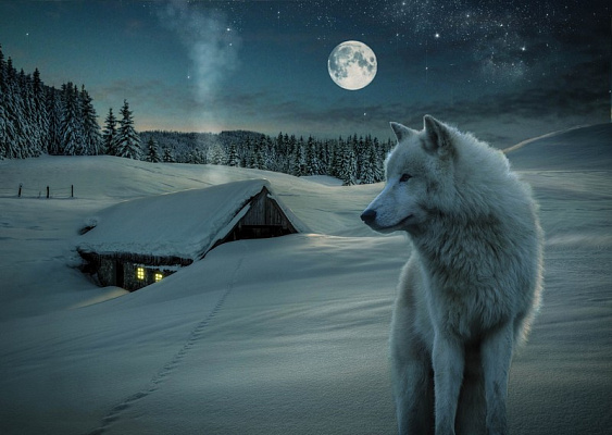 Картина Зимняя луна - Животные 
