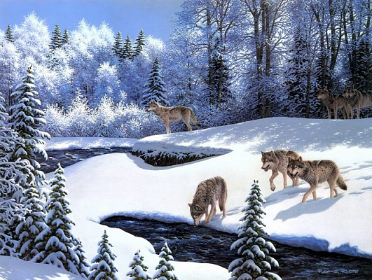 Картина Волки зимой - Неизвестный художник 