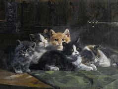 Пять котят