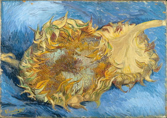 Картина Натюрморт із двома соняшниками - Ван Гог Вінсент 
