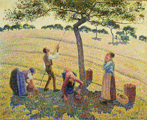 Картина Собиратели яблок - Писсарро Камиль 