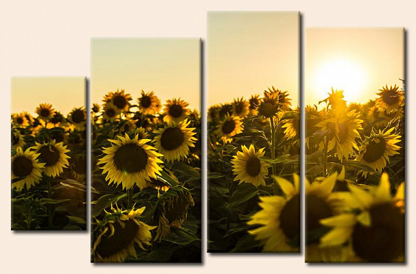 Картина Подсолнечник на солнце - Из четырех частей 