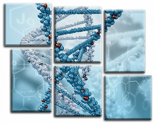 Картина Молекула ДНК - Другие модульные картины 