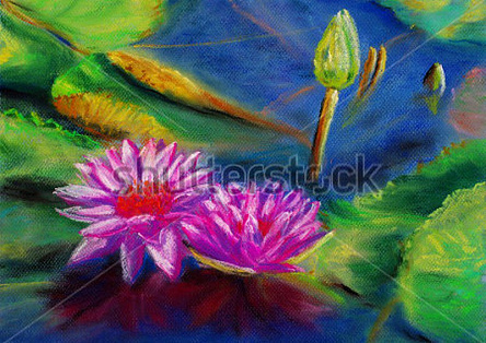 Водные лилии