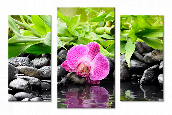 Картина Орхидея на камнях - Из трех частей 