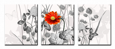 Гербера. Модульная