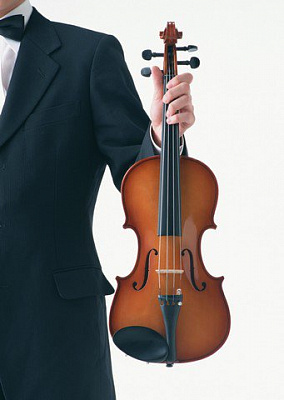Картина Скрипка6 - Музыка 