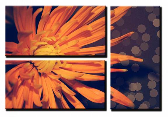 Картина Оранжевое настроение - Из трех частей 