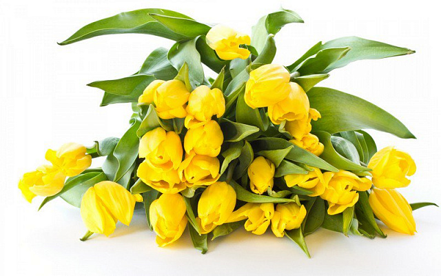Картина Желтые тюльпаны 2 - Цветы 