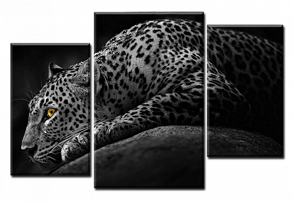 Картина Леопард ЧБ - З трьох частин 