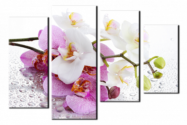 Картина Две ветки орхидеи - Из четырех частей 