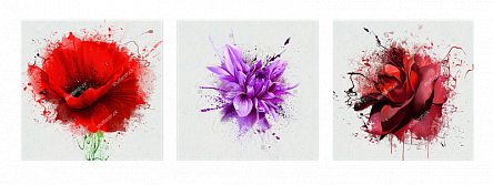 Красочные цветы. Триптих
