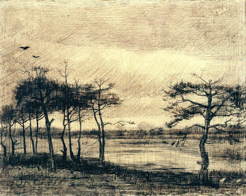 Картина Ван Гог Винсент20 - Картины карандашом 