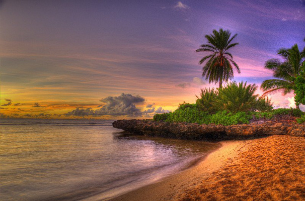 Картина Пляж на заході сонця - Природа 