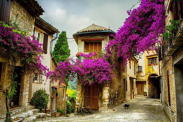Картина Цветущие улицы Прованса - Город 