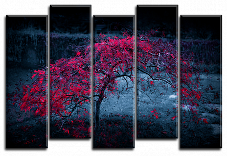 Багряне дерево