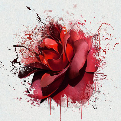Картина Бордова троянда - Квіти 