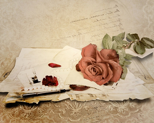 Картина Винтажная роза - Цветы 
