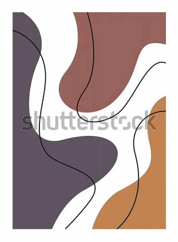 Композиция из цветов и линий