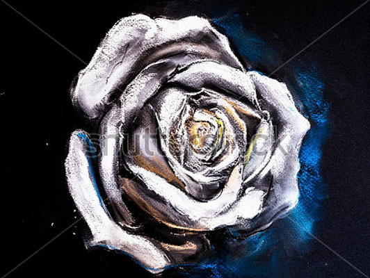 Картина Белая роза - Николов Ивайло  