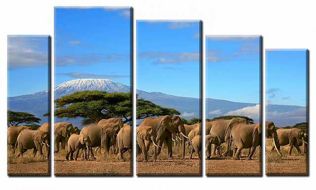 Картина Слони у пустелі 2 - З п'яти частин 