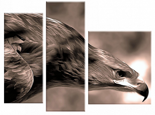 Картина Орел - Из трех частей 