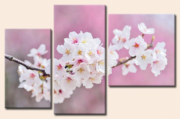 Картина Весенний цвет деревьев - Из трех частей 