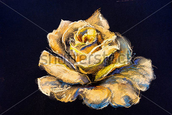 Картина Троянди на чорному тлі - Ніколов Івайло 
