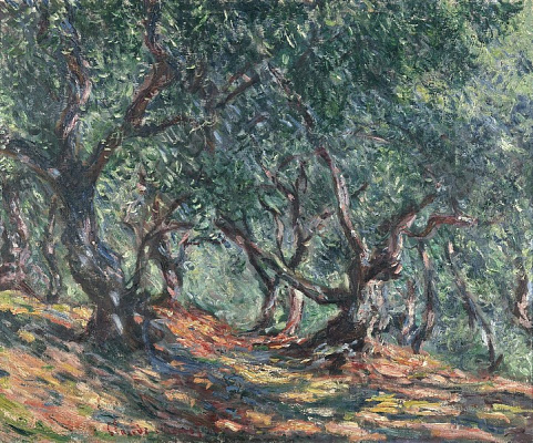 Картина Оливковий гай у саду Морено - Моне Клод 