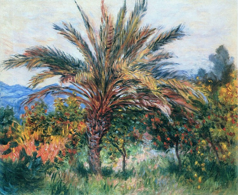 Картина Пальма у Бордігері - Моне Клод 